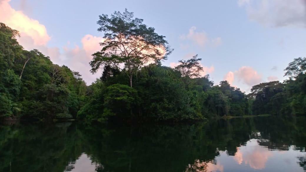 Hotel Jungle Eco Reserve Colón Exterior foto