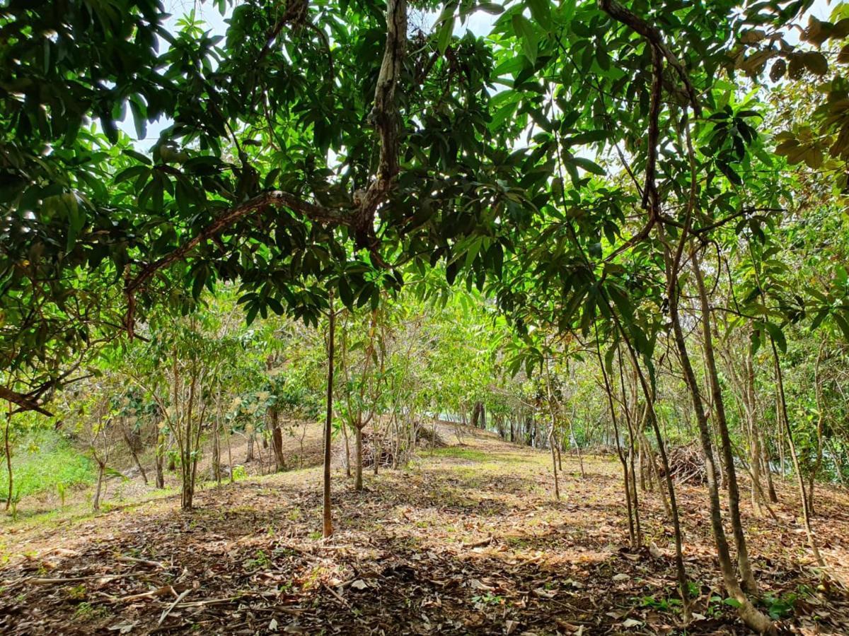 Hotel Jungle Eco Reserve Colón Exterior foto